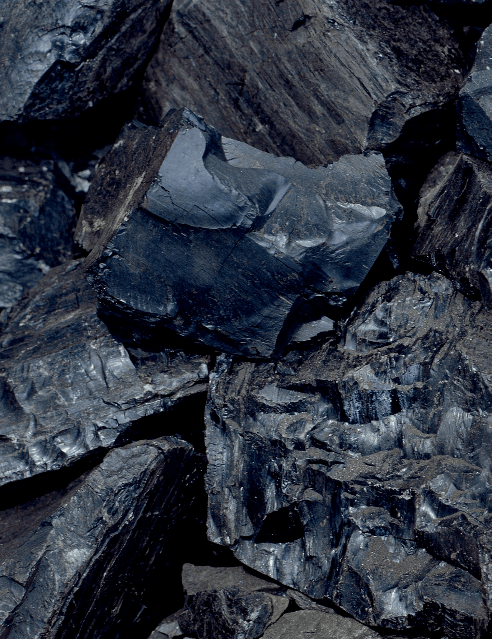 Месторождение «Сарыкольское» — Sarykol coal · Brown · B3